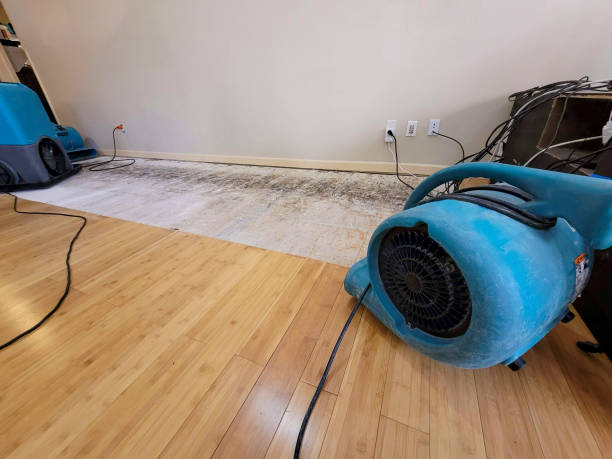Professional Flood Damage Cleanup technician working in Kennedale, TX